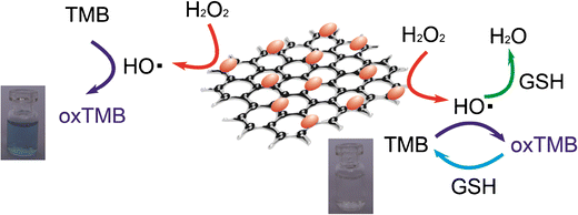 Colorimetric glutathione assay based on the peroxidase-like activity of a  nanocomposite consisting of platinum nanoparticles and graphene oxide |  Microchimica Acta | Springer Nature Link