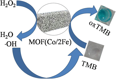 Bimetallic Metal–Organic Framework Fe/Co-MIL-88(NH2) Exhibiting High  Peroxidase-like Activity and Its Application in Detection of Extracellular  Vesicles