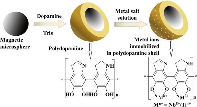 Magnetic Microspheres Modified With Ti Iv And Nb V For Enrichment Of Phosphopeptides Springerlink