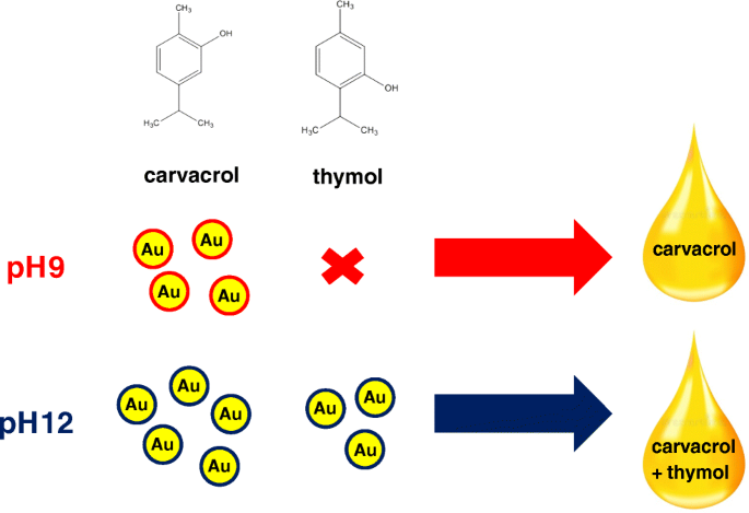 Extraction Free Colorimetric Determination Of Thymol And Carvacrol Isomers In Essential Oils By Ph Dependent Formation Of Gold Nanoparticles Springerlink