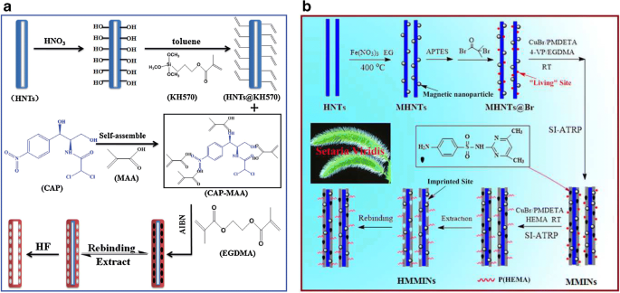 Halloysite Nanotubes In Analytical Sciences And In Drug Delivery A Review Springerlink Halloysite Nanotubes In Analytical Sciences And In Drug Delivery A Review Springerlink