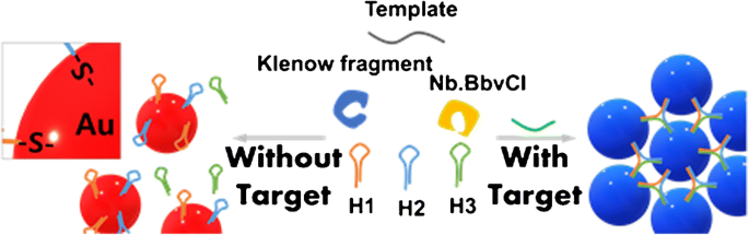 dna using gold nanoparticles