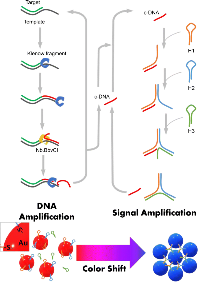 dna using gold nanoparticles