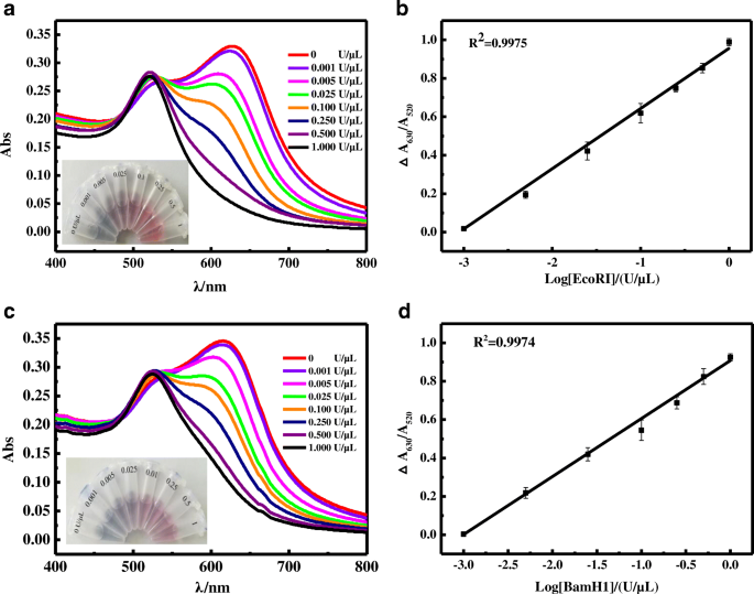 A Hairpin Type Dna Probe For Direct Colorimetric Detection Of Endonuclease Activity And Inhibition Based On The Deaggregation Of Gold Nanoparticles Springerlink