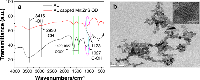 Alginate Capped And Manganese Doped Zns Quantum Dots As A Phosphorescent Probe For Time Resolved Detection Of Copper Ii Springerlink Alginate Capped And Manganese Doped Zns Quantum Dots As A Phosphorescent Probe For Time Resolved Detection Of Copper Ii Springerlink