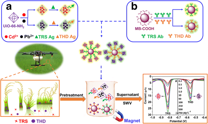 An Amino Modified Metal Organic Framework Type Uio 66 Nh 2 Loaded With Cadmium Ii And Lead Ii Ions For Simultaneous Electrochemical Immunosensing Of Triazophos And Thiacloprid Springerlink