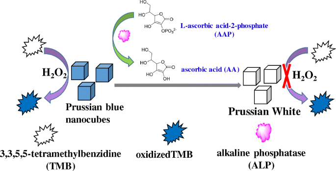 Colorimetric Determination Of Ascorbic Acid And The Activity Of Alkaline Phosphatase Based On The Inhibition Of The Peroxidase Like Activity Of Citric Acid Capped Prussian Blue Nanocubes Springerlink