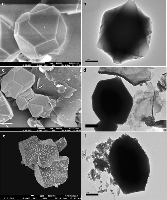 Hybrid Nanocomposites Prepared From A Metal Organic Framework Of Type Mof 199 Cu And Graphene Or Fullerene As Sorbents For Dispersive Solid Phase Extraction Of Polycyclic Aromatic Hydrocarbons Springerlink