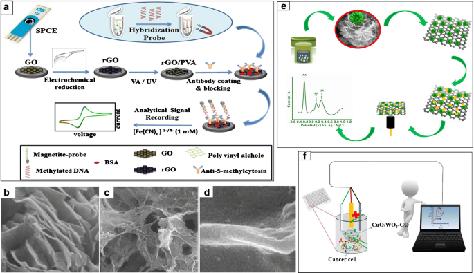 Recent Advances In Graphene Based Nanomaterials Properties Toxicity And Applications In Chemistry Biology And Medicine Springerlink