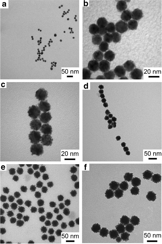 Urchin Peroxidase Mimicking Au Pt Nanoparticles As A Label In Lateral Flow Immunoassay Impact Of Nanoparticle Composition On Detection Limit Of Clavibacter Michiganensis Springerlink