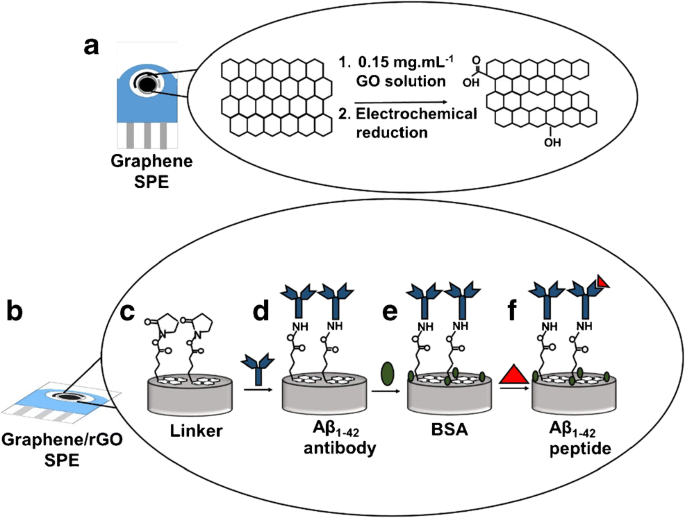 A Label Free Biosensor Based On Graphene And Reduced Graphene Oxide Dual Layer For Electrochemical Determination Of Beta Amyloid Biomarkers Springerlink A Label Free Biosensor Based On Graphene And Reduced Graphene Oxide Dual Layer For Electrochemical Determination Of Beta Amyloid Biomarkers Springerlink