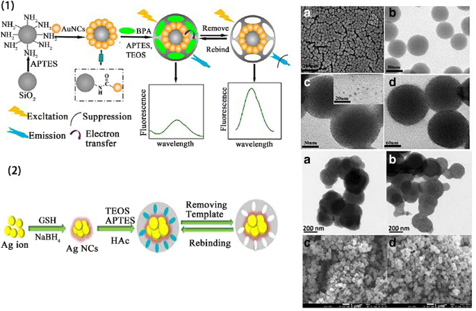 Fluorescent nanomaterials combined with molecular imprinting polymer: synthesis, analytical applications, and challenges | SpringerLink