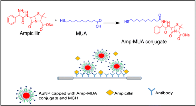 Nanoplasmonic Sensing and Capillary Electrophoresis for Fast Screening of  Interactions between Phosphatidylcholine Biomembranes and Surfactants