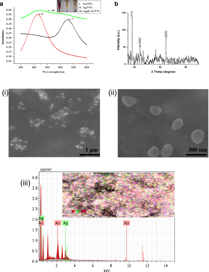 Gold Silver Core Shell Nanoparticle Based Impedimetric Immunosensor For Detection Of Iron Homeostasis Biomarker Hepcidin Springerlink