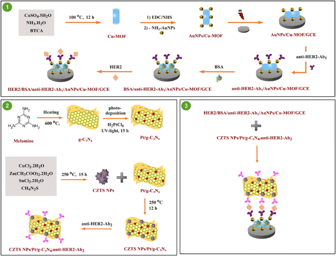 Sensitive Sandwich Type Voltammetric Immunosensor For Breast Cancer Biomarker Her2 Detection Based On Gold Nanoparticles Decorated Cu Mof And Cu 2 Znsns 4 Nps Pt G C 3 N 4 Composite Springerlink