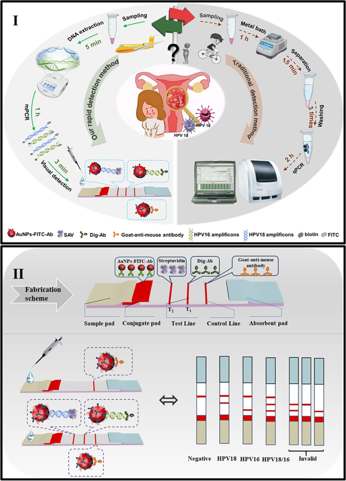 Rapid and simultaneous visual typing of high-risk HPV-16/18 with 