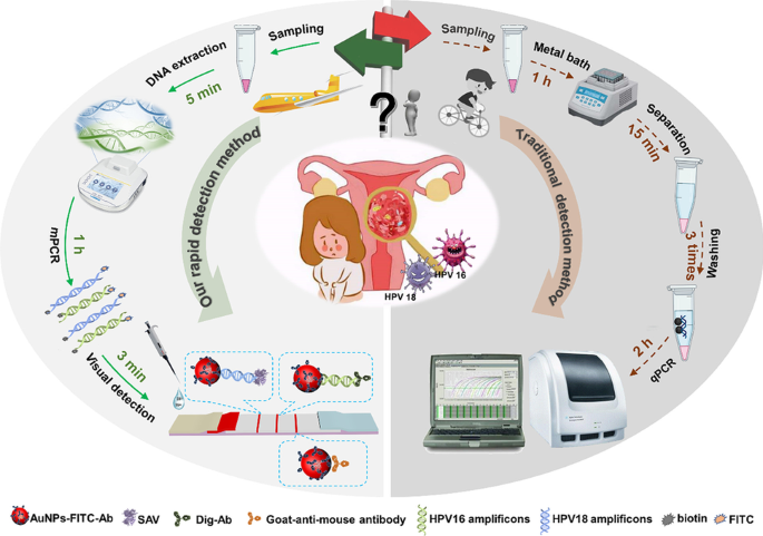 Rapid and simultaneous visual typing of high-risk HPV-16/18 with 