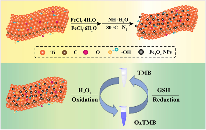 glutathione s transferase oxidative stress Glutathione S-transferase π: a potential role in antitumor therapy | DDDT