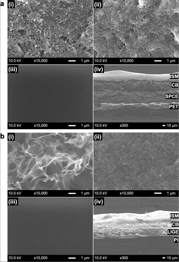Large-scale fabrication of ion-selective electrodes for 