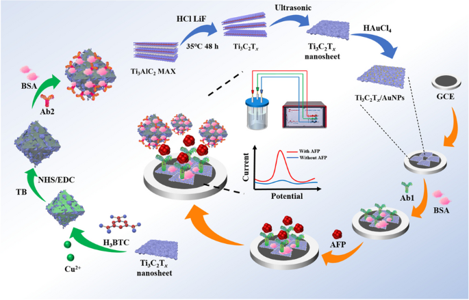 Labeled sandwich-type electrochemical immunosensor based on Ti3C2Tx ...