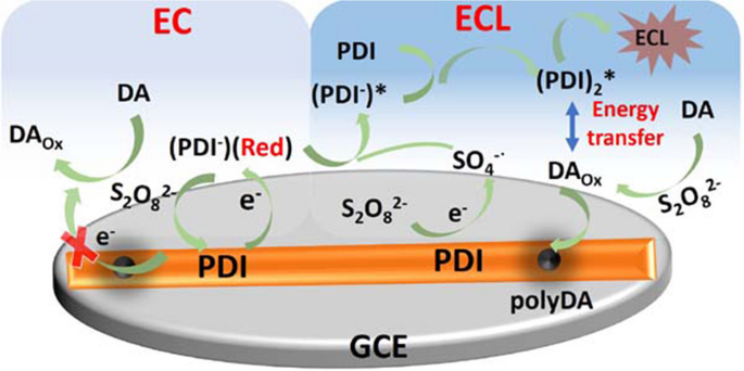 Dual-mode electrochemical and electrochemiluminescence detection of dopamine based on perylene diimide self-assembly material | Microchimica Acta dual-mode-electrochemical-and-electrochemiluminescence-detection-of-dopamine-based-on-perylene-diimide-self-assembly-material-microchimica-acta