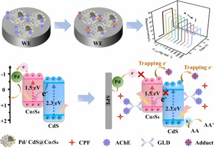MOF-templated hollow Pd/CdS@Co3S4 nanocages with synergistic Z-scheme ...