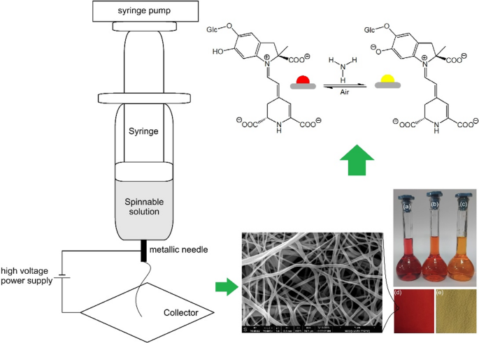Development of betalain-immobilized poly(lactic acid)-co ...
