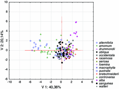 Quantitative And Qualitative Differences In Morphological Traits Of Endocarps Revealed Between Cornus L Species Springerlink Quantitative And Qualitative Differences In Morphological Traits Of Endocarps Revealed Between Cornus L Species Springerlink