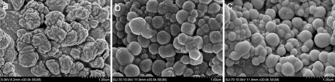 Pollen Morphology Of The Central European Broomrapes Orobanchaceae Orobanche Phelipanche And Orobanchella And Its Taxonomical Implications Springerlink