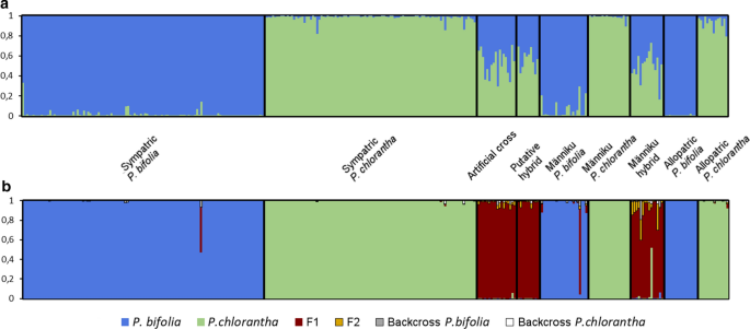 Artificial Crossing And Pollen Tracking Reveal New Evidence Of Hybridization Between Sympatric Platanthera Species Springerlink Artificial Crossing And Pollen Tracking Reveal New Evidence Of Hybridization Between Sympatric Platanthera Species Springerlink