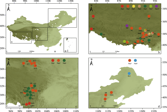 The Evolutionary History And Phylogeographic Pattern Of Hippuris Vulgaris Hybridization And Long Distance Dispersal From China Springerlink