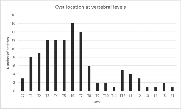 Surgical Management And Outcomes In Spinal Intradural Arachnoid Cysts The Experience From Two Tertiary Neurosurgical Centres Springerlink