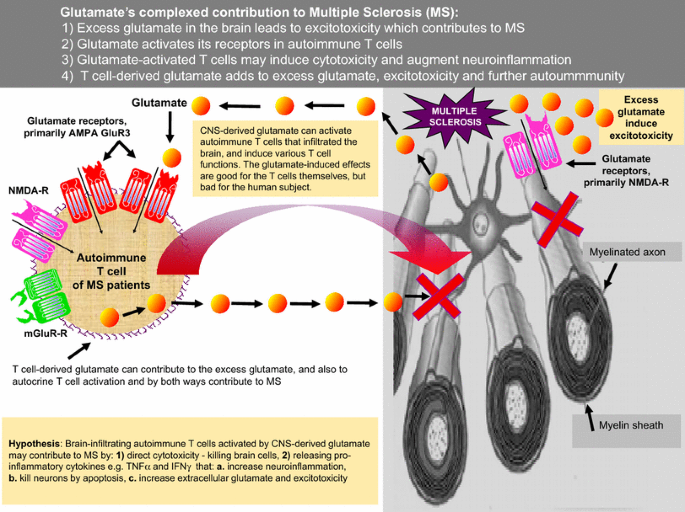 nmda t cells