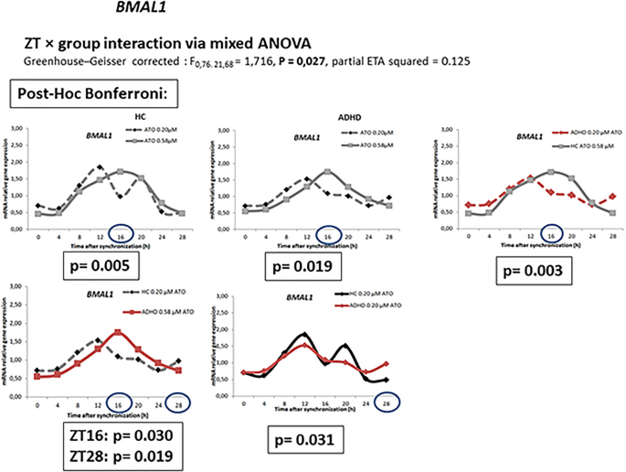 Atomoxetine and circadian gene expression in human dermal fibroblasts from  study participants with a diagnosis of attention-deficit hyperactivity  disorder | SpringerLink