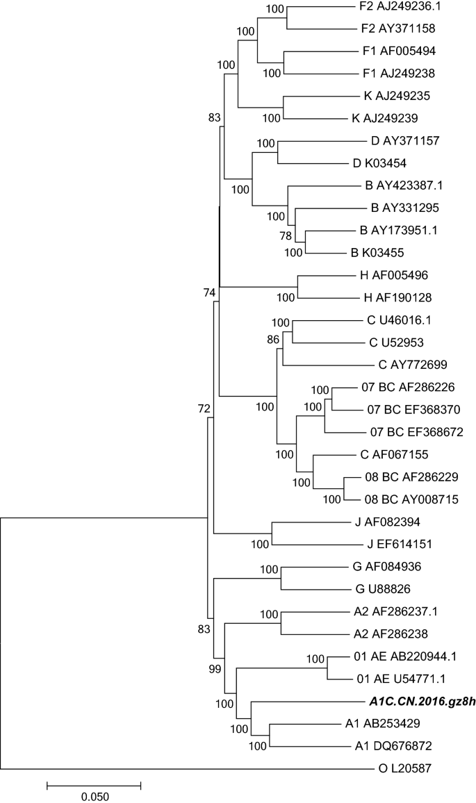 Genetic Characterization Of A Novel Unique Recombinant Form Of Hiv 1 Originating From Subtype A1 And C In Guangdong Province China Springerlink