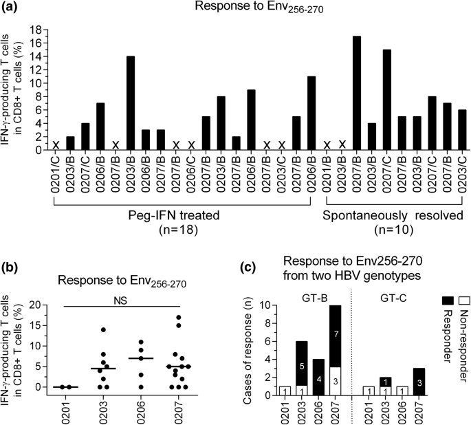 A Novel T Cell Epitope In The Transmembrane Region Of The Hepatitis B Virus Envelope Protein Responds Upon Dendritic Cell Expansion Springerlink