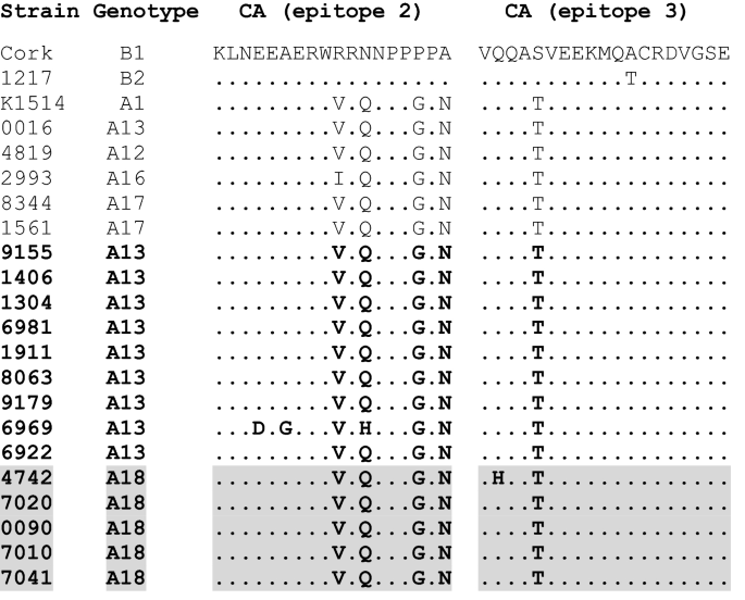 Molecular Analysis Of Small Ruminant Lentiviruses In Polish Flocks Reveals The Existence Of A Novel Subtype In Sheep Springerlink