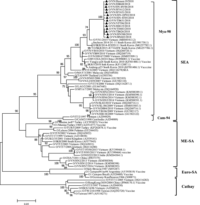 Image Ca sĩ Hồ Quang Tám image beautiful image beautiful image beautiful image beautiful image beautiful image beautiful image beautiful image beautiful - O/SEA/Mya-98 lineage foot-and-mouth disease virus was responsible ...