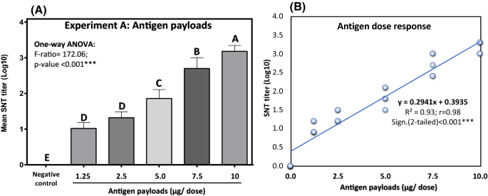 Adjuvant Effect Of Saponin In An Oil Based Monovalent Serotype O Foot And Mouth Disease Virus Vaccine On The Antibody Response In Guinea Pigs And Cattle Springerlink