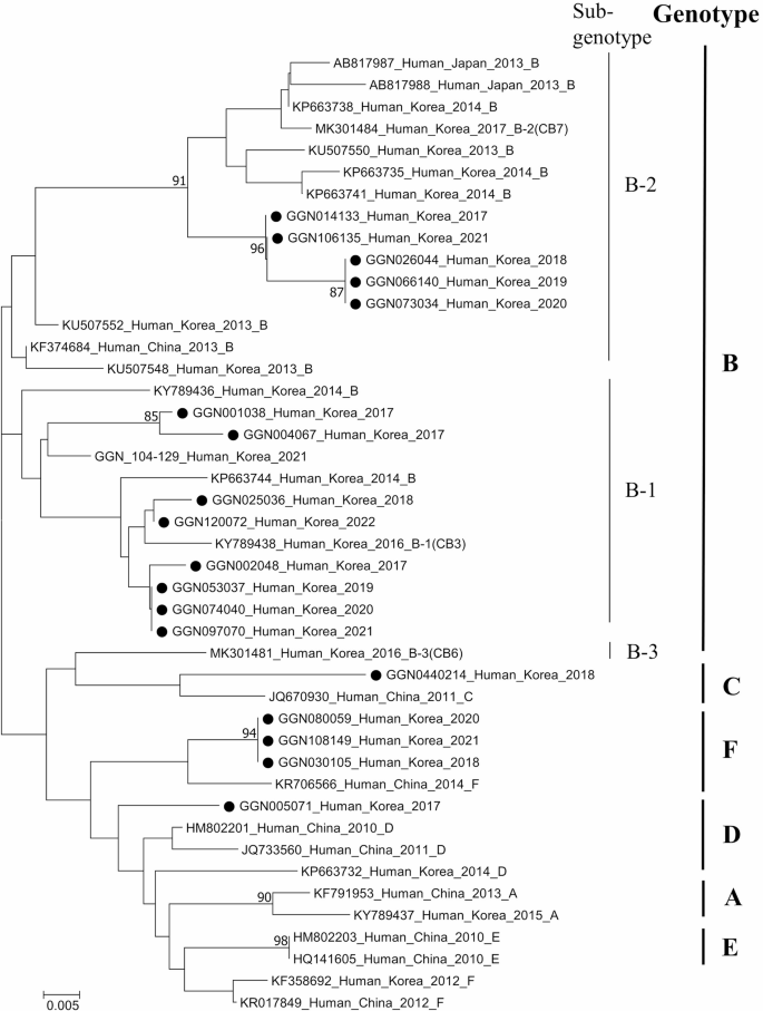 Genotype Analysis Genotype analysis of severe fever with thrombocytopenia syndrome ...