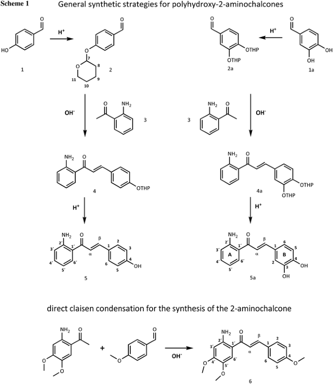 scheme 1