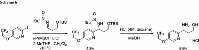 scheme 6