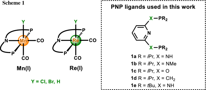 scheme 1