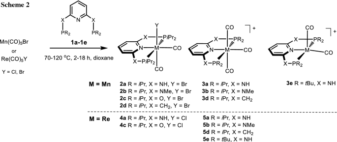 scheme 2