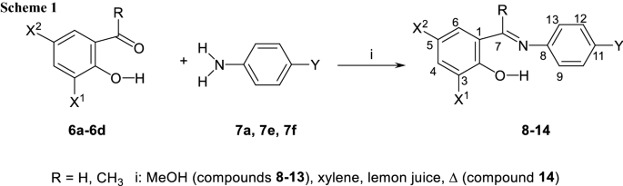 scheme 1