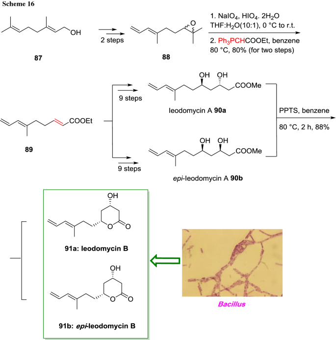 scheme 16