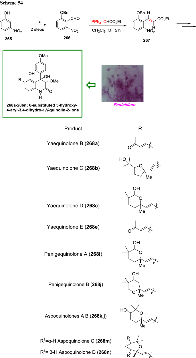 scheme 54