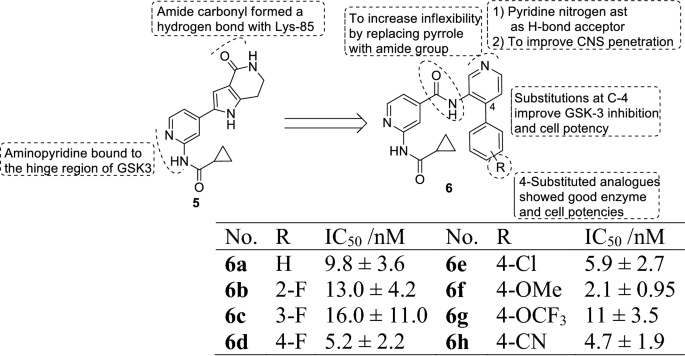 An Updated Research Of Glycogen Synthase Kinase 3b Inhibitors A Review Springerlink