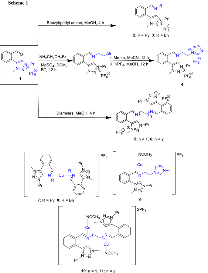 scheme 1