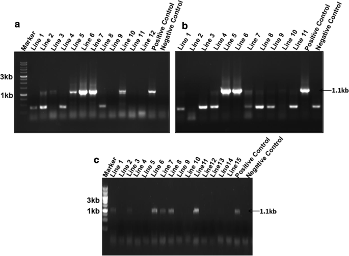 springerlink